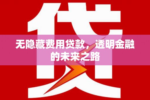 上林无隐藏费用贷款，透明金融的未来之路
