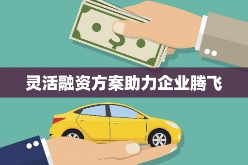 上林灵活融资方案助力企业腾飞