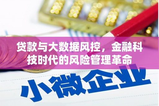 上林贷款与大数据风控，金融科技时代的风险管理革命