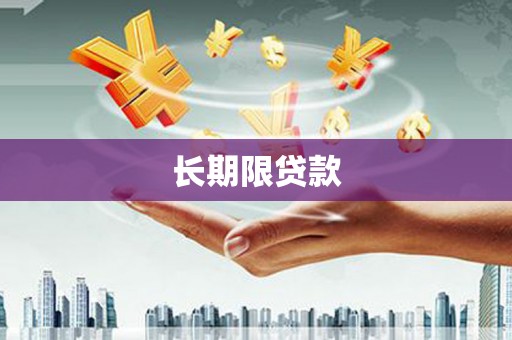 上林长期限贷款