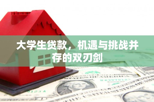 上林大学生贷款，机遇与挑战并存的双刃剑