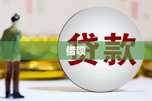 上林借呗