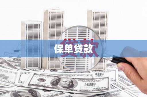 上林保单贷款