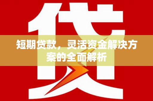上林短期贷款，灵活资金解决方案的全面解析