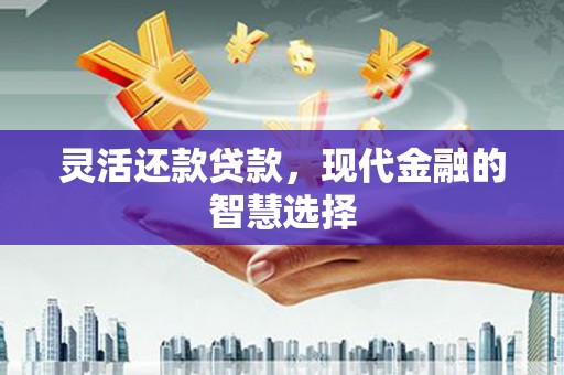 上林灵活还款贷款，现代金融的智慧选择