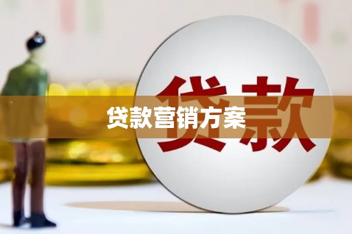 上林贷款营销方案