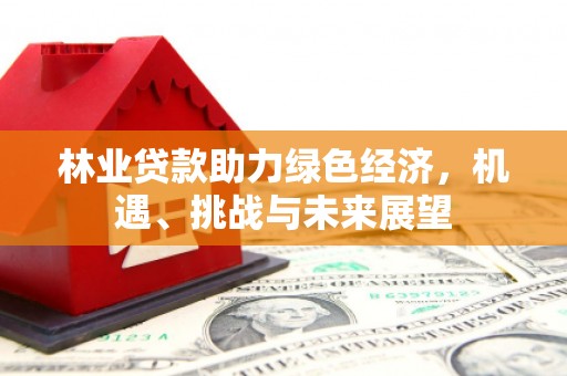 上林林业贷款助力绿色经济，机遇、挑战与未来展望