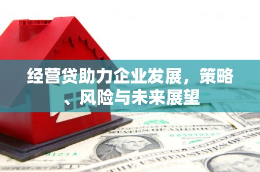 上林经营贷助力企业发展，策略、风险与未来展望