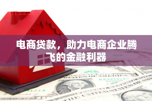 上林电商贷款，助力电商企业腾飞的金融利器