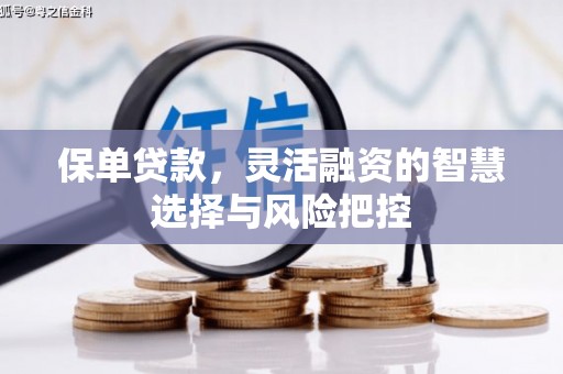 上林保单贷款，灵活融资的智慧选择与风险把控