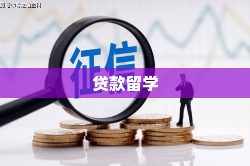上林贷款留学
