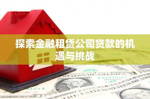 上林探索金融租赁公司贷款的机遇与挑战