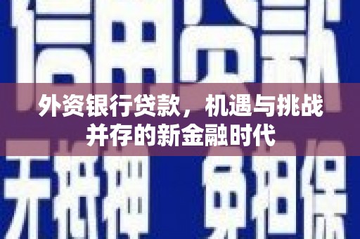 上林外资银行贷款，机遇与挑战并存的新金融时代