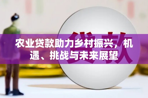 上林农业贷款助力乡村振兴，机遇、挑战与未来展望