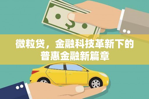 上林微粒贷，金融科技革新下的普惠金融新篇章