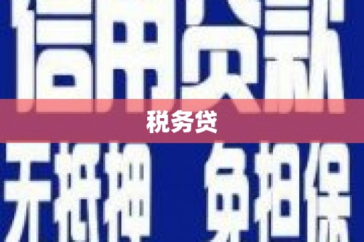 上林税务贷