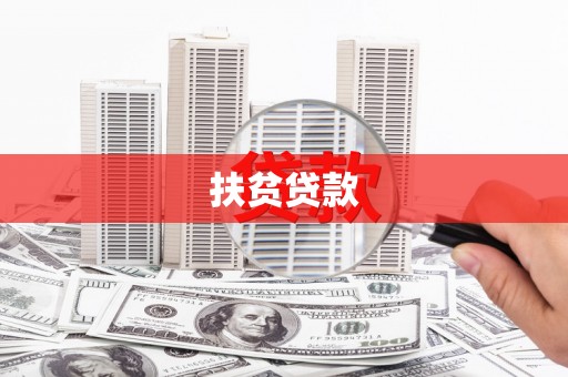 上林扶贫贷款