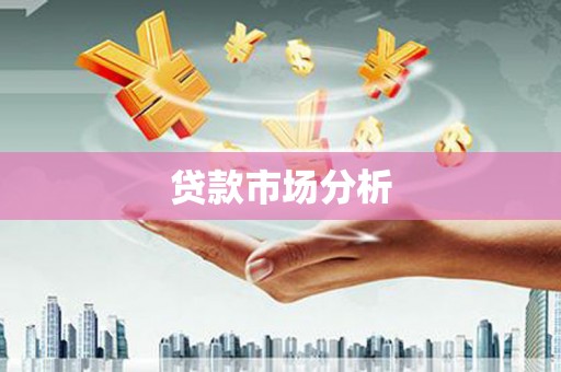 上林贷款市场分析