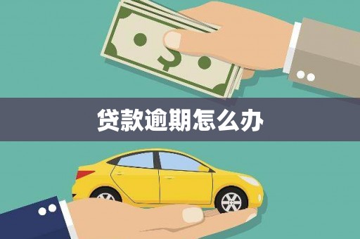 上林贷款逾期怎么办