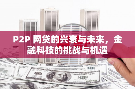 上林P2P 网贷的兴衰与未来，金融科技的挑战与机遇