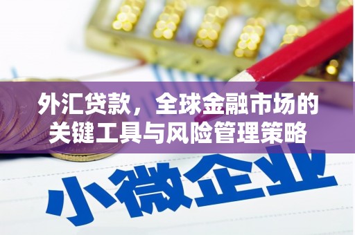 上林外汇贷款，全球金融市场的关键工具与风险管理策略
