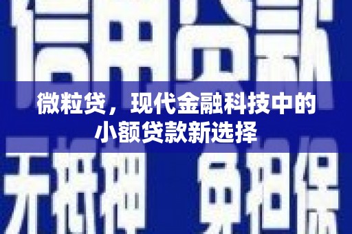 上林微粒贷，现代金融科技中的小额贷款新选择