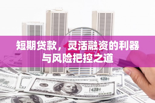 上林短期贷款，灵活融资的利器与风险把控之道