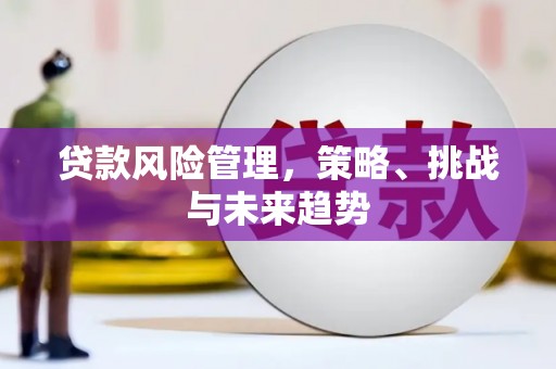 上林贷款风险管理，策略、挑战与未来趋势