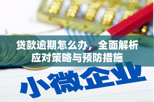 上林贷款逾期怎么办，全面解析应对策略与预防措施