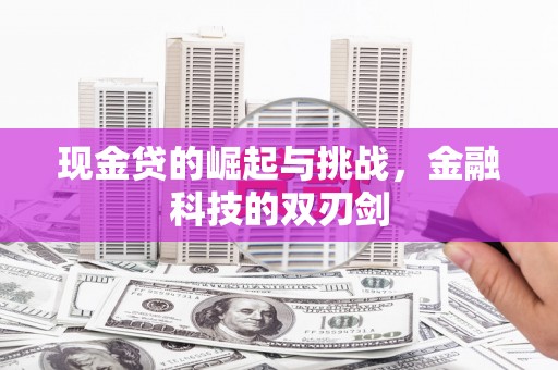 上林现金贷的崛起与挑战，金融科技的双刃剑