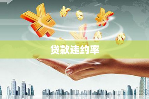 上林贷款违约率