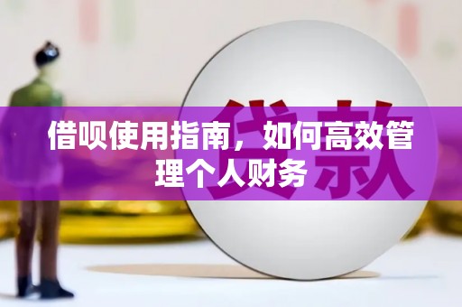 上林借呗使用指南，如何高效管理个人财务