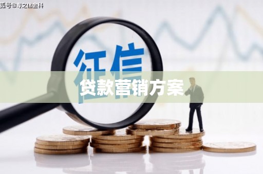 上林贷款营销方案