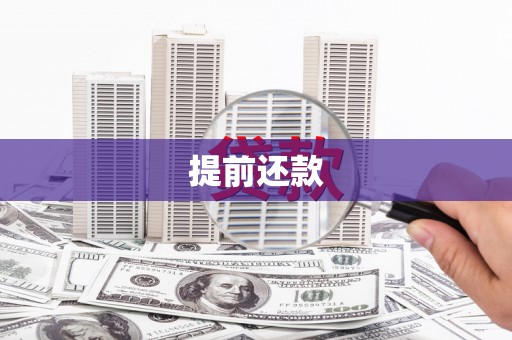 上林提前还款