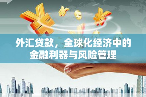 上林外汇贷款，全球化经济中的金融利器与风险管理