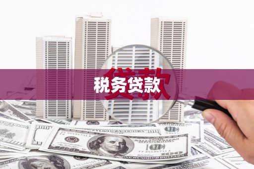 上林税务贷款