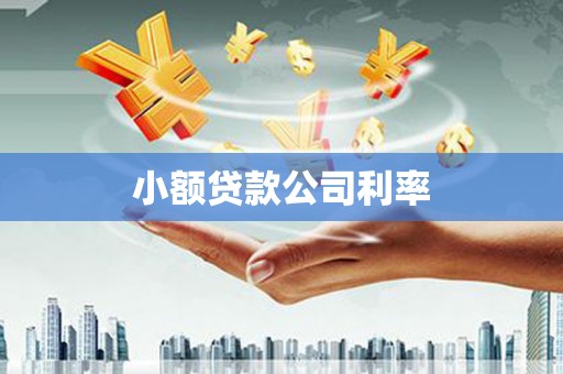 上林小额贷款公司利率