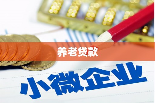 上林养老贷款