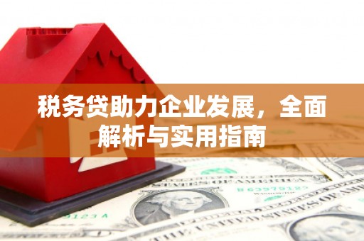 上林税务贷助力企业发展，全面解析与实用指南