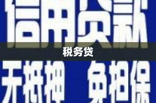 上林税务贷