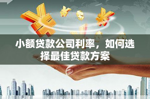 上林小额贷款公司利率，如何选择最佳贷款方案