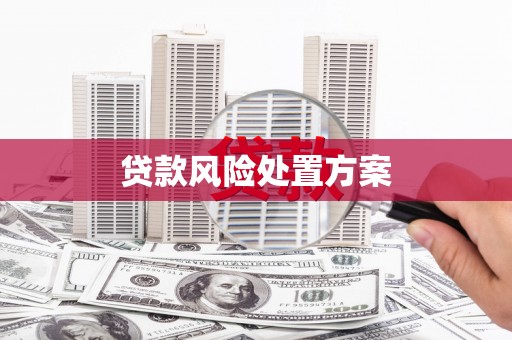 上林贷款风险处置方案