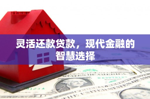 上林灵活还款贷款，现代金融的智慧选择