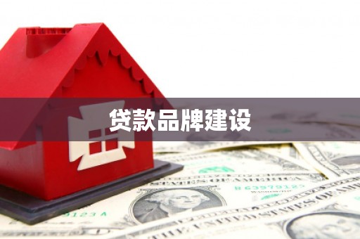 上林贷款品牌建设