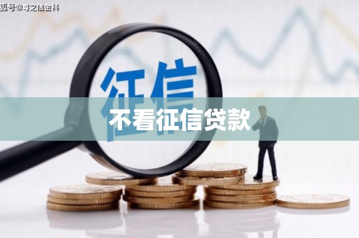 上林不看征信贷款