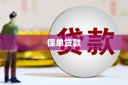 上林保单贷款