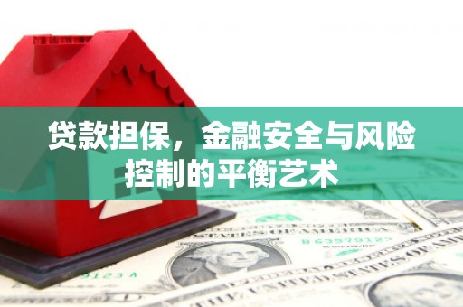 上林贷款担保，金融安全与风险控制的平衡艺术