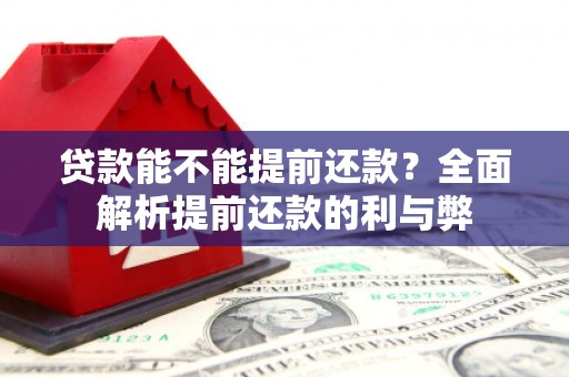 上林贷款能不能提前还款？全面解析提前还款的利与弊