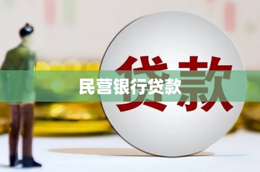 上林民营银行贷款
