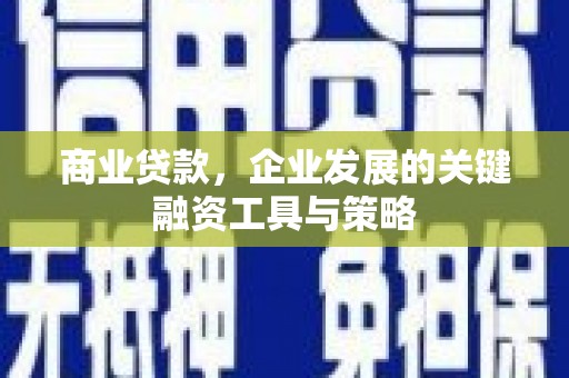 上林商业贷款，企业发展的关键融资工具与策略